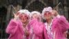 Germany news: Crowds to turn out for Carnival parade
