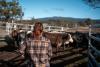 Ranchers Face Rising Costs as Beef Prices Climb and Consumers Pull Back