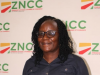 ZNCC hosts business networking workshop
