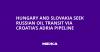 Hungary and Slovakia Seek Russian Oil Transit via Croatia’s Adria Pipeline