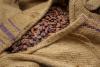 Ivory Coast maintains GH¢3,600 equivalent per cocoa bag as Ghana reels from 28% emergency price cut