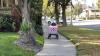 Americans are unleashing their anger on food-delivery robots