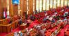Senate Threatens Diplomatic Review Over Attacks On Nigerians In South Africa