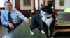 Former UK Foreign Office cat Palmerston dies in Bermuda