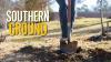 Alabama Extension - New podcast, 'Southern Ground,' helps listeners navigate gardening, farming