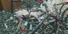 Rapid City residents set recycling record with holiday lights program
