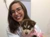 Brazilian Veterinary Student Faces Prison Sentence Over Social Media Posts on Gender