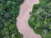Amazon deforestation on pace to be the lowest on record, says Brazil