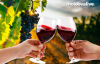 Minister of Agriculture: There are no risks for Moldovan wine exports to Ukraine