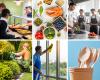 Foodbuy Launches Procurement Division for UK’s Education Sector