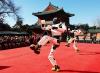 China’s dancing robots spark tech curiosity