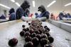 Chile's cherry industry faces challenging outlook