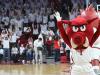 How to stream Arkansas vs Alabama college basketball for free today