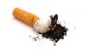 Cigarette Butts Are an Overlooked Source of Microplastic Pollution
