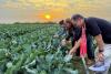 Australia Bolsters Climate-Smart Agriculture in Cambodia's Kratie Province