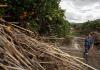 Malaga storm damage: farmers estimate €112 million loss in agricultural crisis