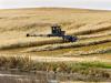 Gary Mar: Why Canada needs a new national agriculture strategy