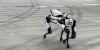 High-tech ‘DroneDog’ robot adds security layer to businesses nationwide
