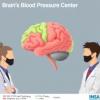 Scientists Chart Brain’s Blood Pressure Regulation Center