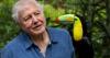 BBC announces week-long celebration to mark David Attenborough's 100th birthday