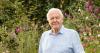 BBC announces major plans for David Attenborough’s 100th birthday including ‘3 new shows’