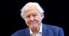 BBC reveals plans to honour Sir David Attenborough's 100th birthday in major update