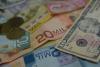 The Silent Victims of the Cheap Dollar in Costa Rica