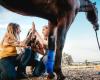 Cowgirl Kickback, HorsePlay offers guests unique horse-based agri-tourism experiences