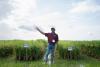 Texas A&M AgriLife Research projects to enhance rice yields, health benefits