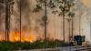 What Florida Panhandle areas are at greatest risk of wildfires?