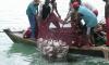 Nigeria Piloting Regional Fishing Vessel Register In Gulf of Guinea