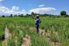 How a rural community in drought-prone northern Haiti built climate resilience