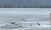 Two men make it back to shore, after ATV goes through ice on Mississippi River near Stoddard