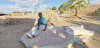 Can Niassa’s Seed System Roadmap Become a Catalyst for National Food Security in Mozambique?