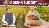 12.3% Hike In Agriculture Budget: Odisha Allocates Rs 42,492 Cr For Rural Push