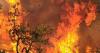 Arizona Forestry tackles wildfire risk in Dragoon and Dewey