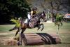 International grants boost Ja’s equestrian federation, support hurricane recovery