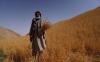 FAO Pledges $6 Million to Support Agricultural Businesses in Afghanistan