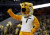 How to stream Arkansas vs Missouri basketball free today