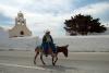 Santorini Targets Overweight Tourists With Donkey Weight Limit