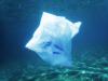 Scientists create plastic that completely dissolves in seawater within hours