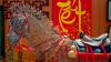Chinese New Year: A Fire Horse Year Only Comes Every 60 Years, Here’s Why It Matters