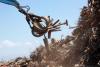 Cyprus can’t afford to lose its scrap
