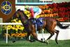 Horse racing: Ka Ying Rising makes Hong Kong racing history with 18th win