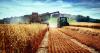 Challenges facing the agricultural sector