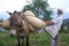 The Arrierios: Colombia’s Last Muleteers