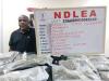 NDLEA Arrests Real Estate Boss, Ivorians With Drugs