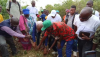 Liberia: Agriculture Ministry Through RETRAP Celebrates Bumper Cassava Harvest In Pokundu, Grand Cape Mount County