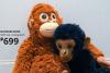 Furniture retailer draws buzz with post featuring orangutan stuffed toy. Here’s why