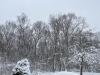 Local Emergency Services Urge Snow Safety Precautions Amid Powerful Winter Storm; Closures and Old Lyme Parking Ban in Effect